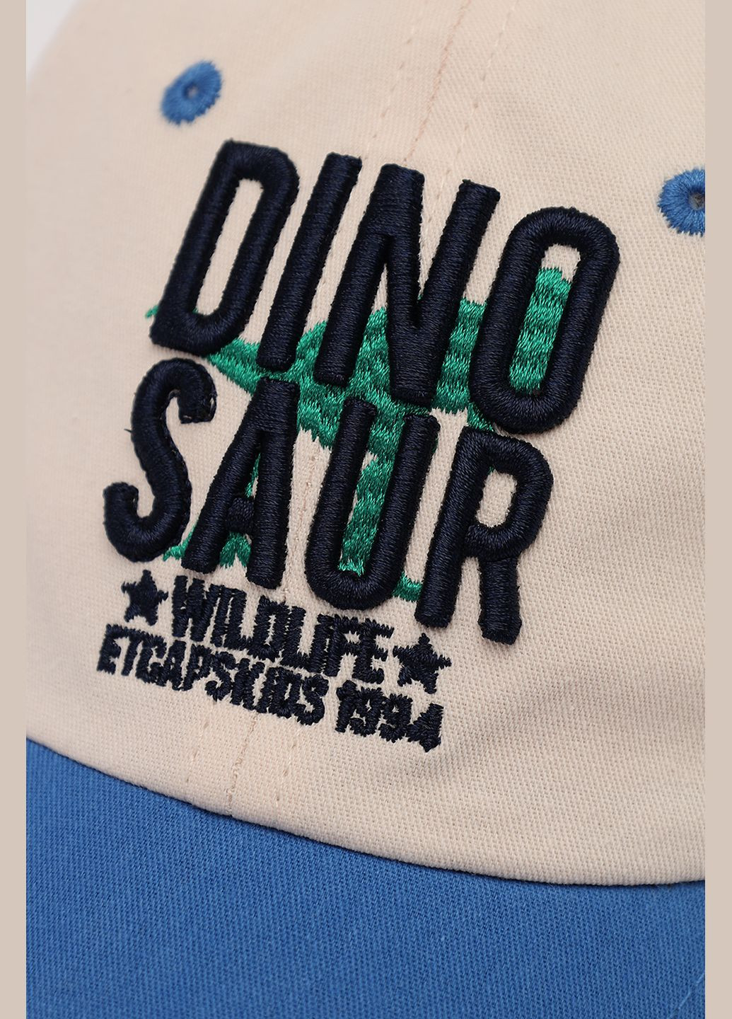 Бейсболка для хлопчика колір синій ЦБ-00272198 No Brand (329144569)