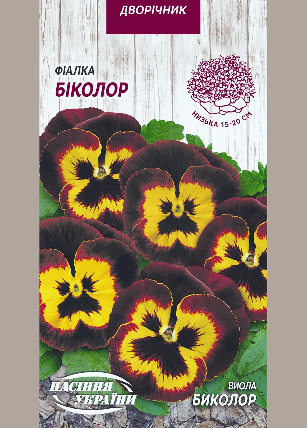 Семена цветы фиалка Биколор 0,05г Насіння України (356120135)