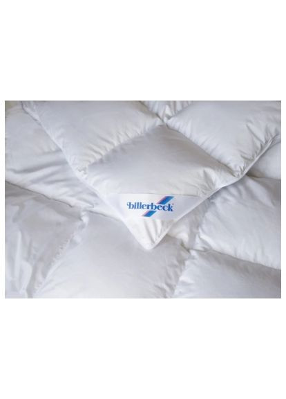 Ковдра (0590-32/05) Biederlack пухова касетна Діана К2 155х215 см (366258921)