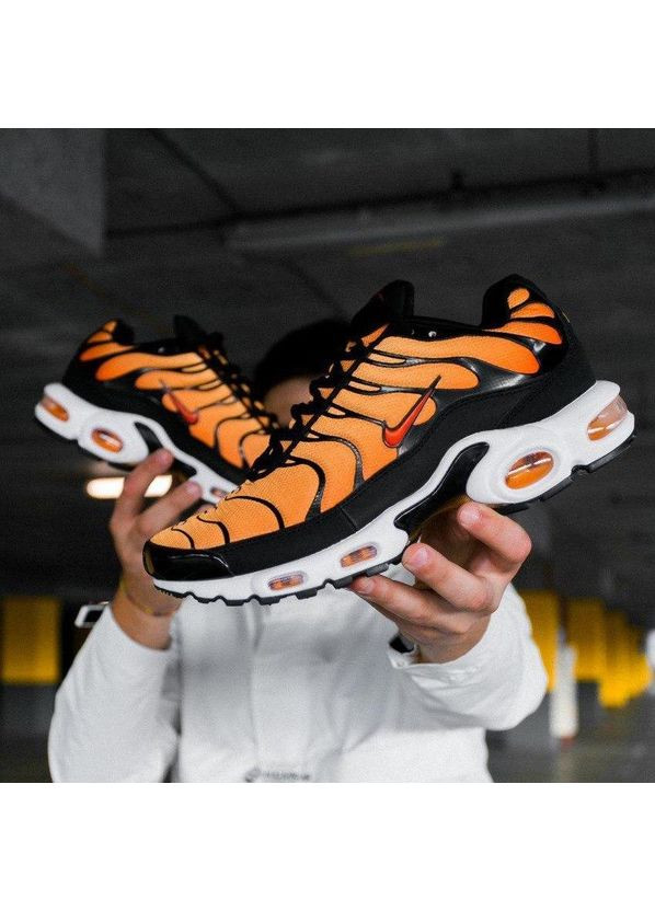 КРОСІВКИ ЖІНОЧІ NIKE AIR MAX PLUS OG TN TIGER НАЙК АІР МАКС ТН ПЛЮС No Brand комбіновані демісезони (368862023)