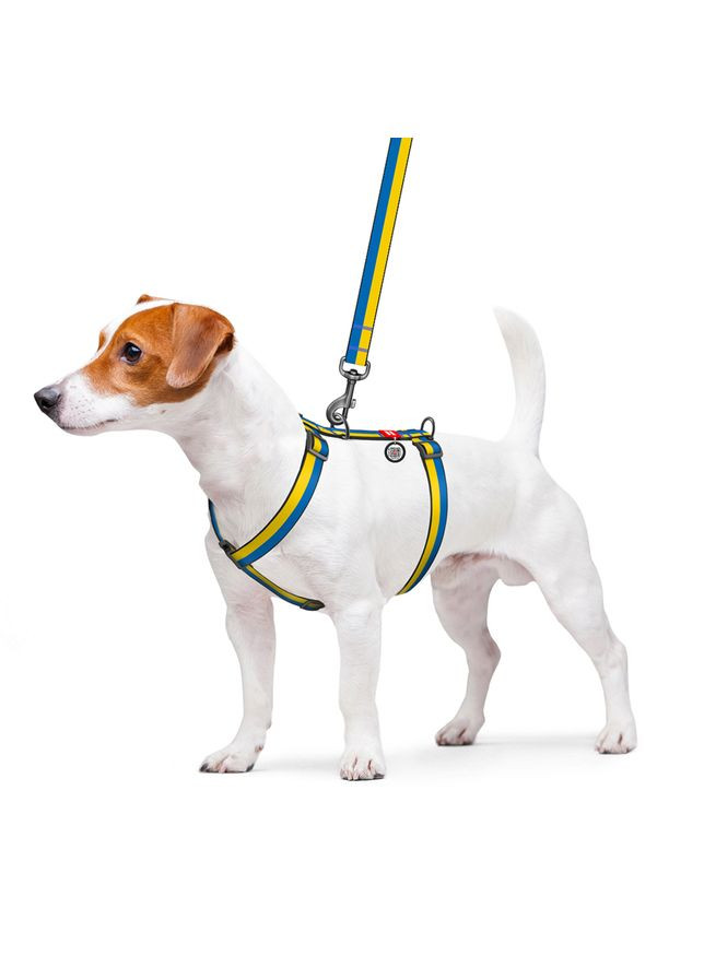 Ошейник WAUDOG (336964777)