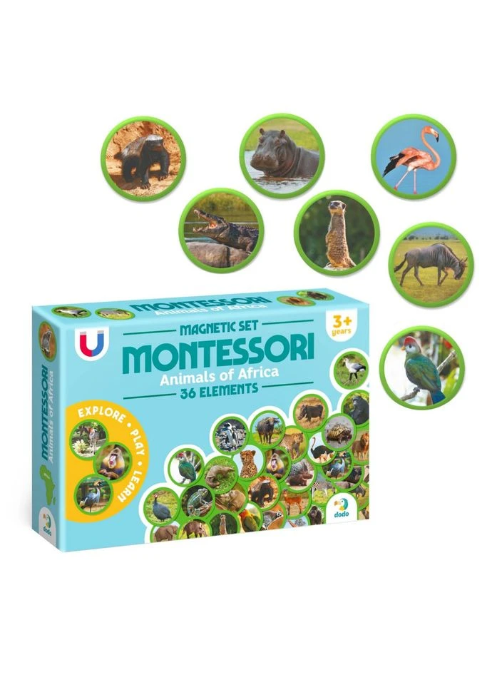 Детский Магнитный Набор Монтессори "Животные На Континентах: Африка" Toys 200284, 36 Элементов Seli Dodo (394388509)