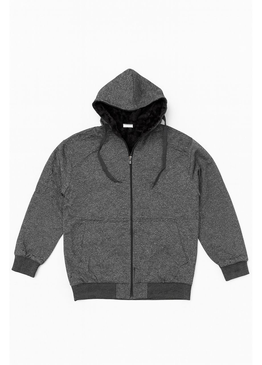 Чоловіча кофта з капюшоном Ao.long сіра (батал) 4XL No Brand (365755919)