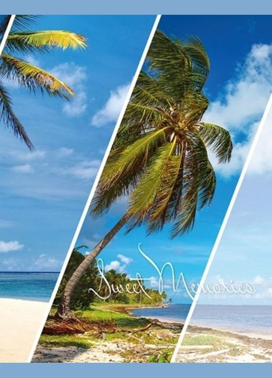 Фотоальбом на 200 фотографий 10х15 см (PP-46200 Paradise) UFO (329852175)