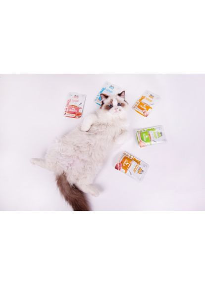 Корм влажный "Суп для кошек Soup with Salmon с лососем", 75 г (*) Brit Care (322591454)