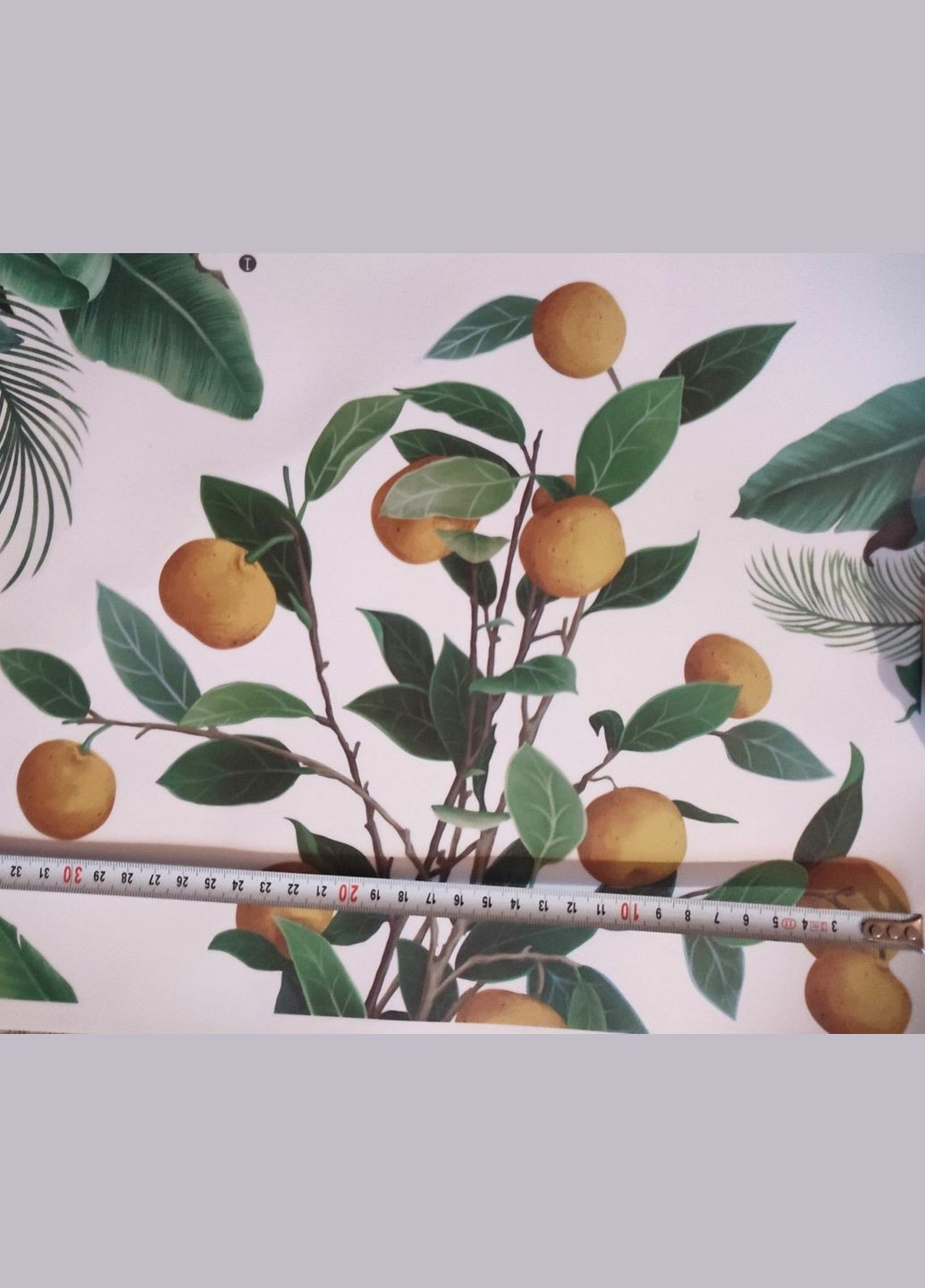 Виниловые наклейки Зеленые листья банан лимон (лист 60 х 90 см) Б83-15 No Brand (334884604)