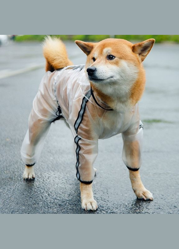 Дощовик з капюшоном для собак, прозорий комбінезон унісекс 5XL Yiwu (299915289)