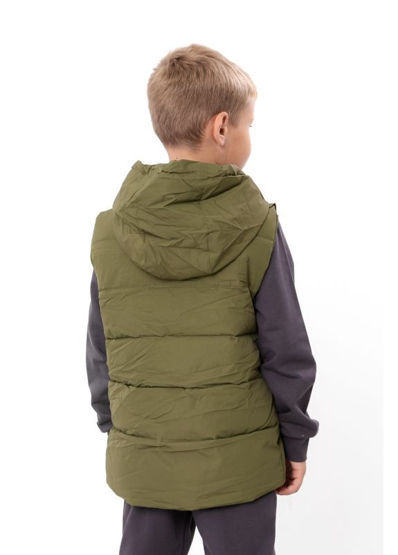 Демісезонна жилетка для хлопчика однотонна з капюшоном (p-18189) Носи своє (363849438)
