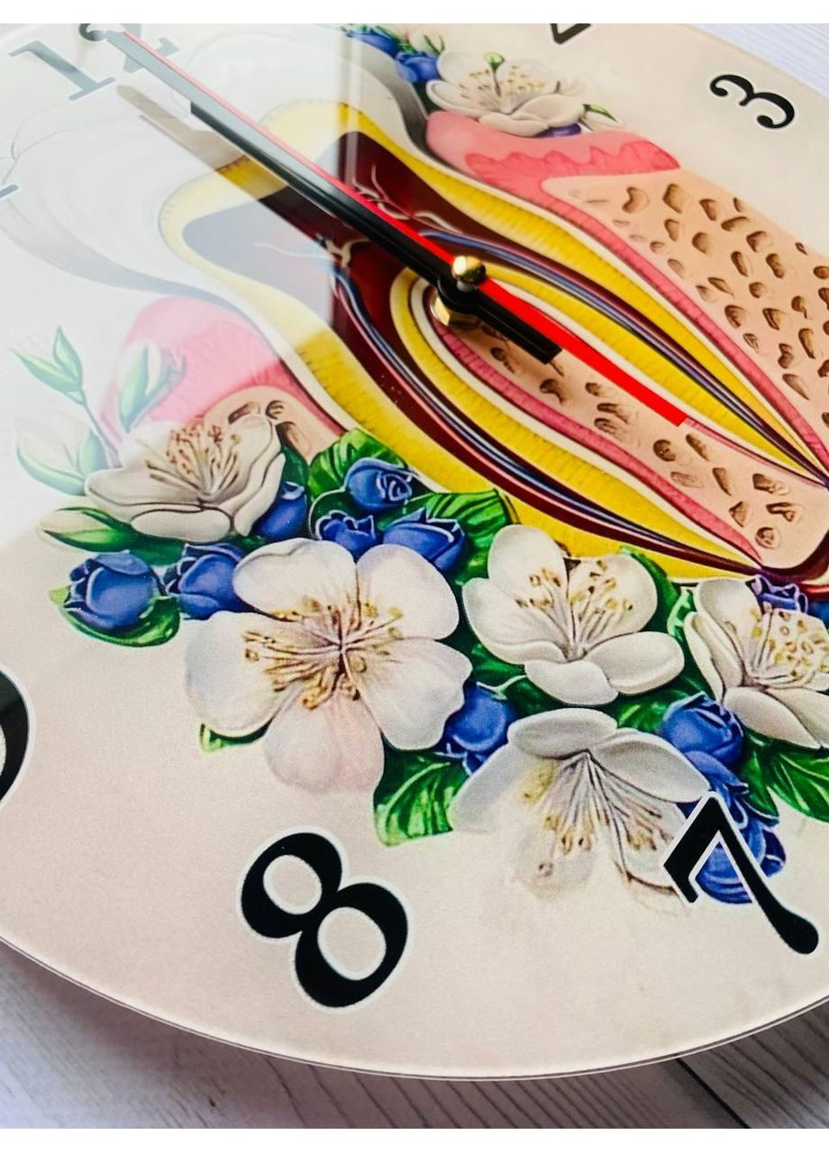 Часы настенные Зуб. Анатомия Creative (360668324)