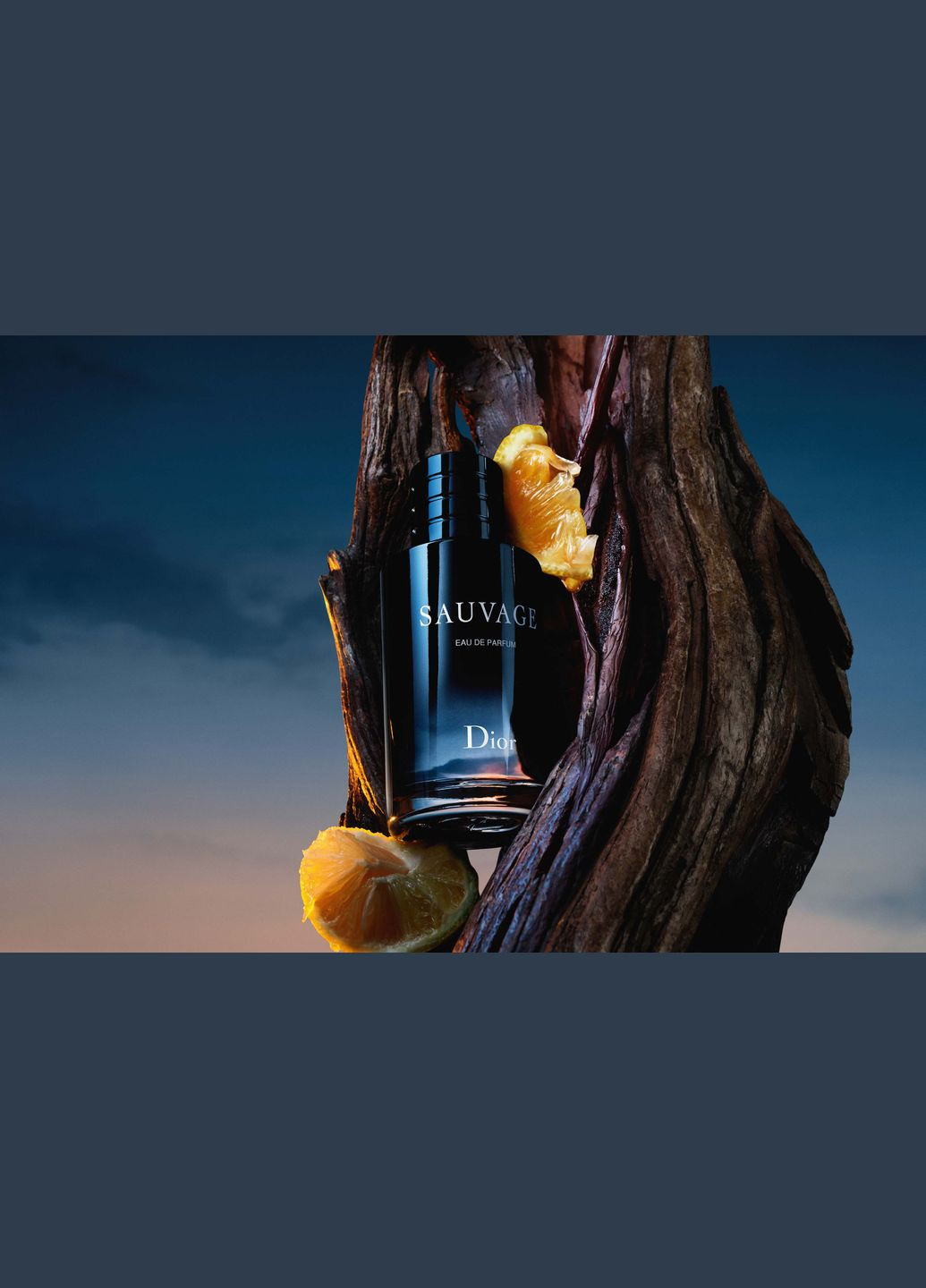 Чоловіча парфумована вода Christian Sauvage Eau de Parfum 100 мл (страна производства - Турция) Dior (278773687)