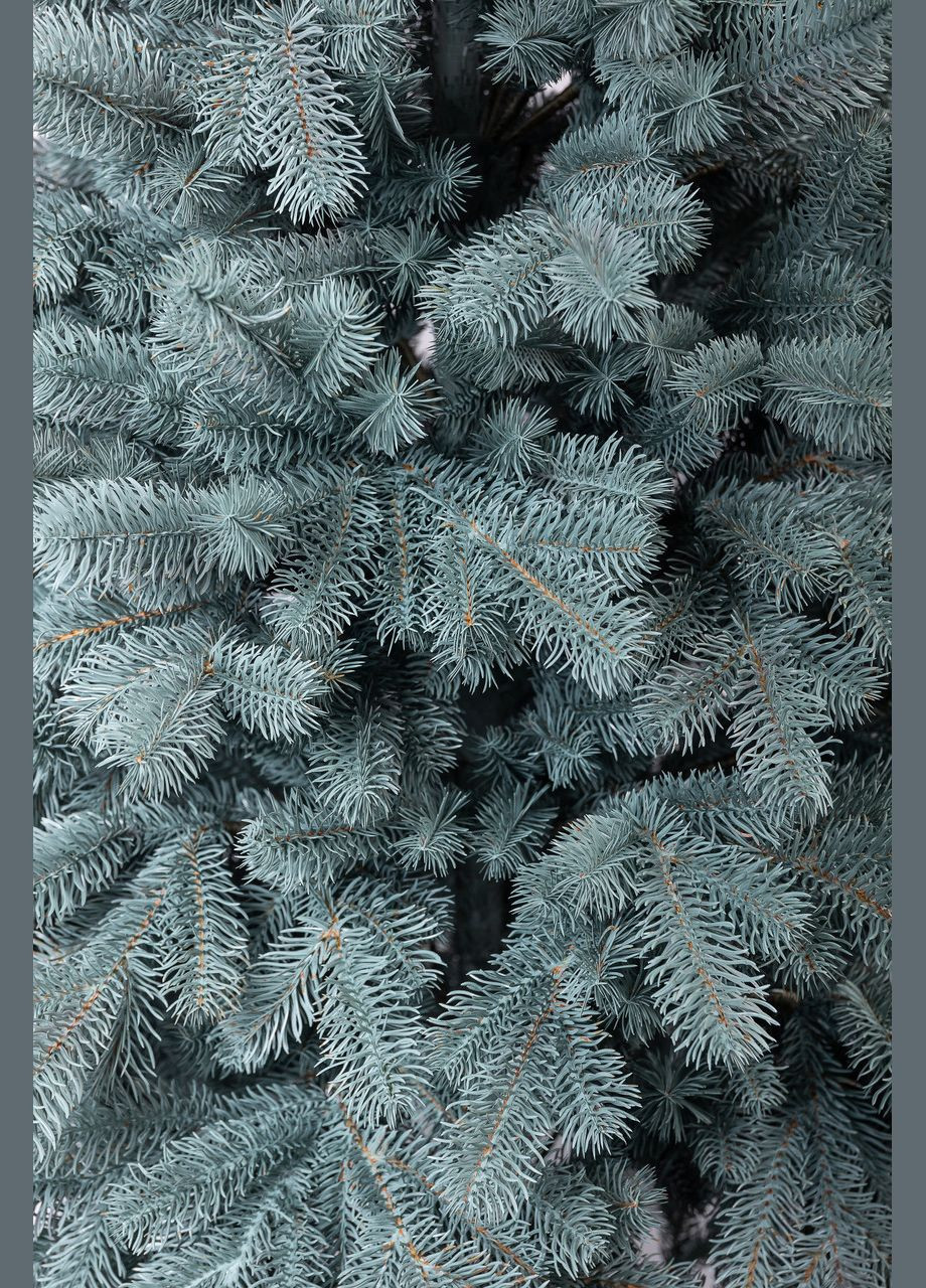 Ялинка штучна 1.8 м Говерла блакитна LUGI (308281551)