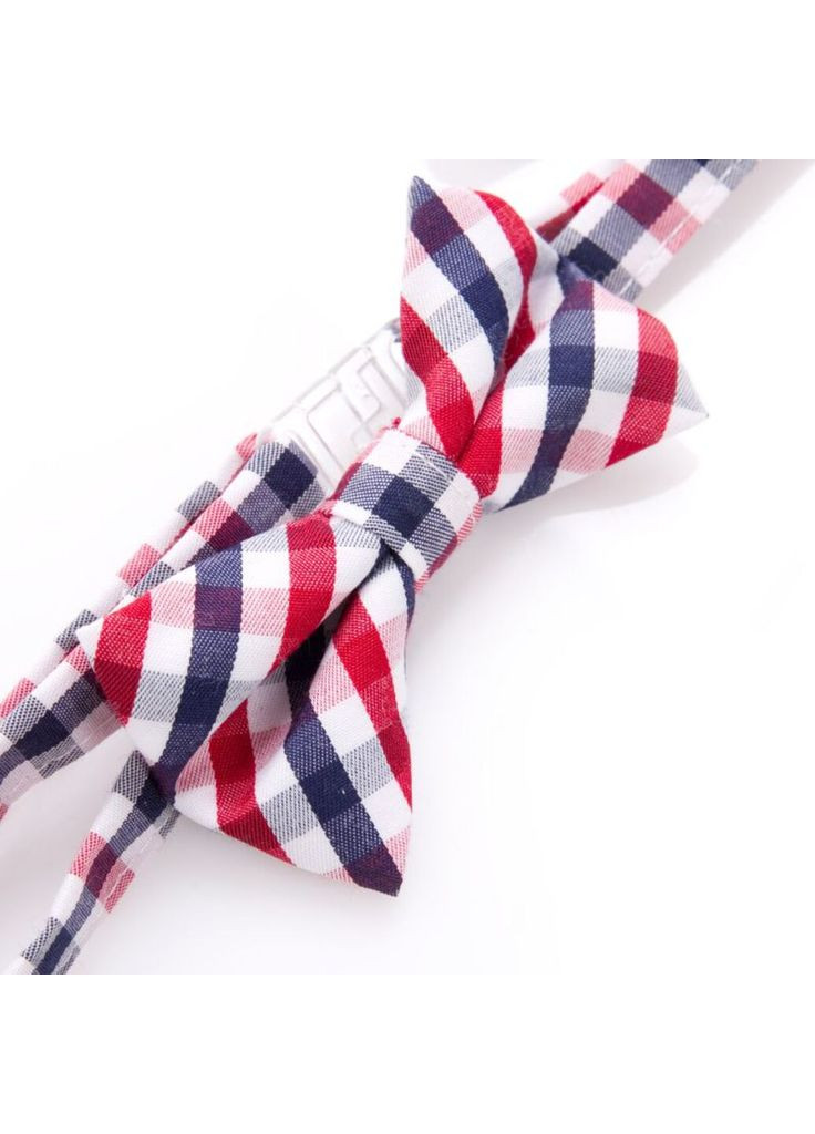 Краватка Coccodrillo (297202956)