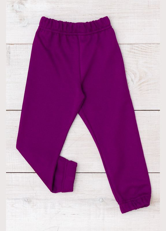 Фиолетовые демисезонные брюки Носи своє