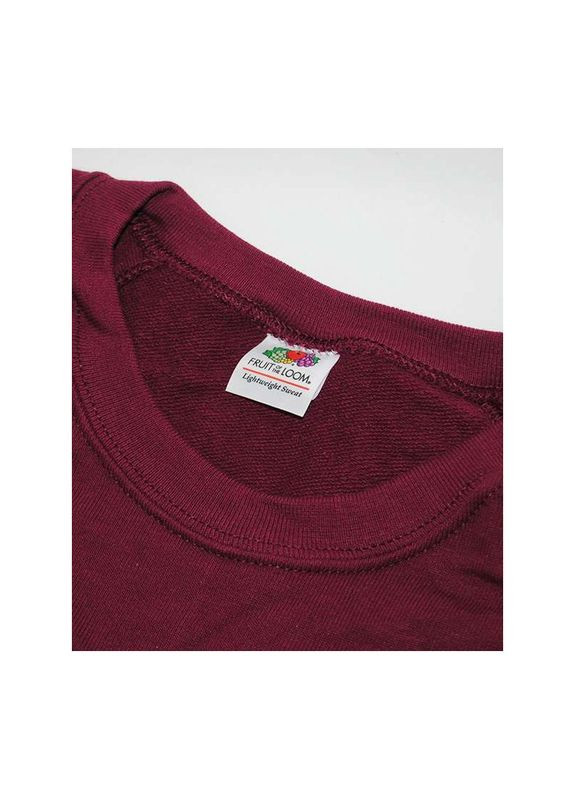 Світшот чоловічий однотонний, кофта чоловіча, реглан чоловічий, батник оранж, Fruit of the Loom (368786381)