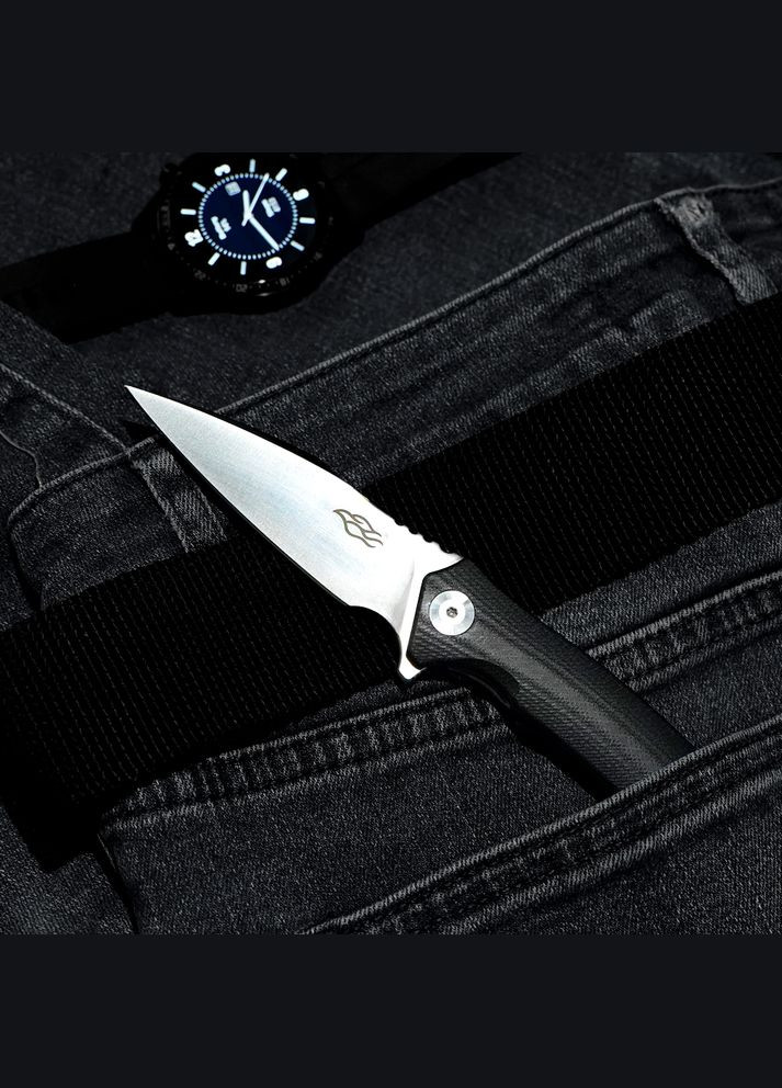 Ніж складний Firebird FH41SBlack Ganzo (315880405)