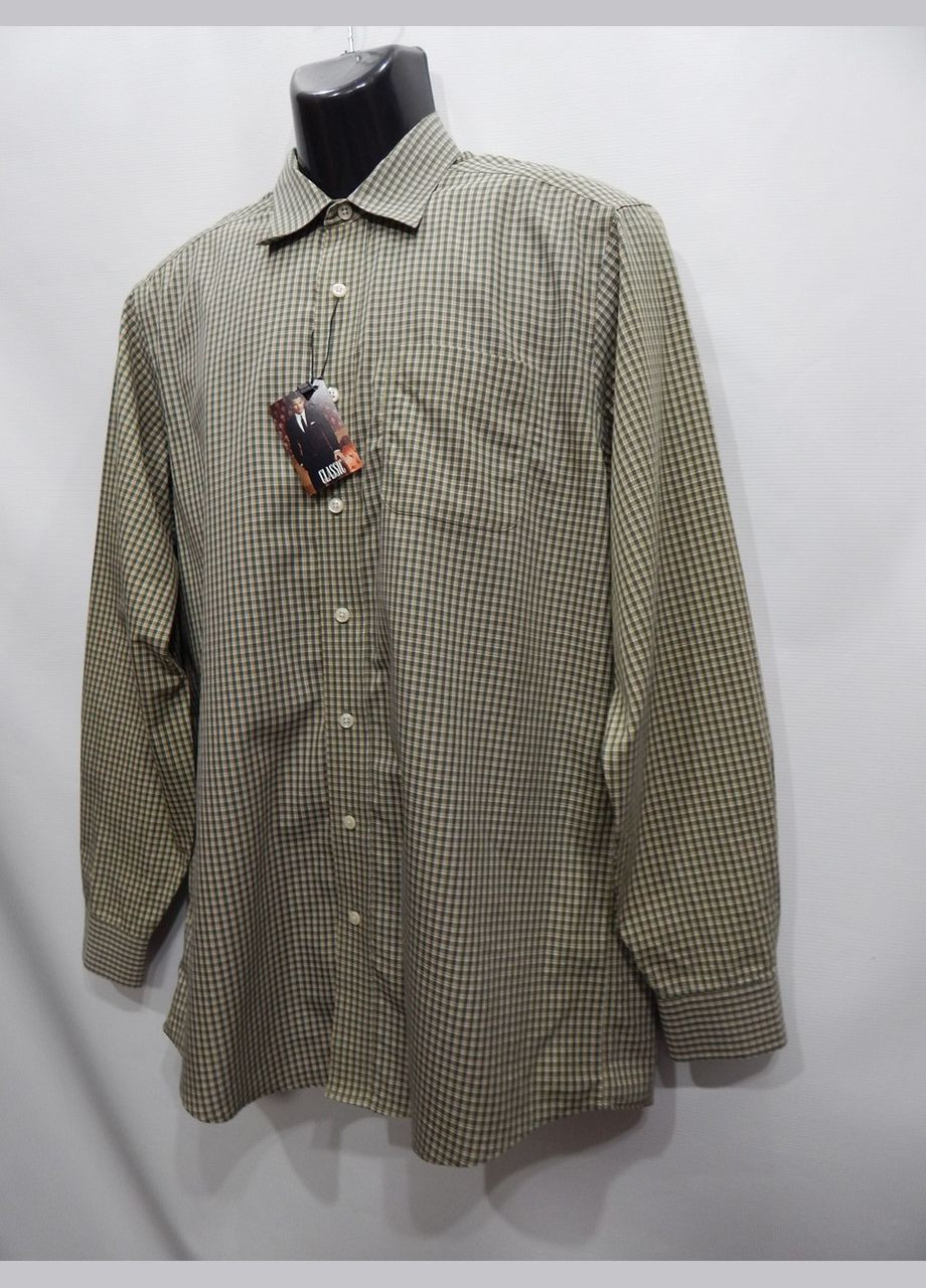 Зеленая кэжуал рубашка в клетку No Brand