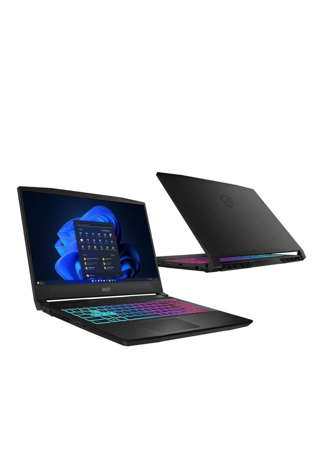 Ноутбук Katana 17 i5-13420H/32GB/1TB+1TB/Win11 Pro RTX4050 144Hz (B13VEK-1449XPL) MSI (351376316)