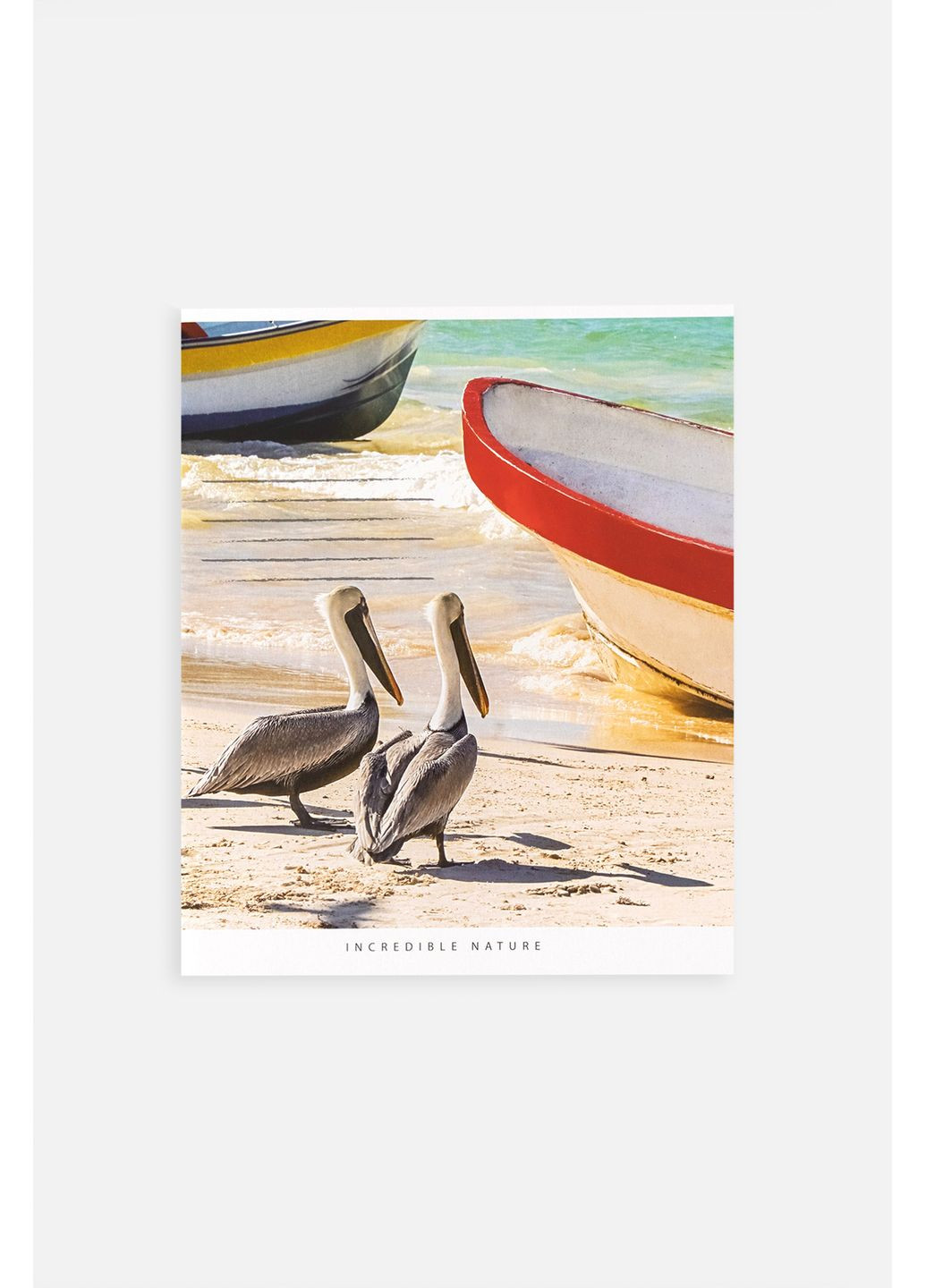 Зошит учнівський в лінію колір різнокольоровий CB-00255161 Фабрика Поліграфіст (361269273)