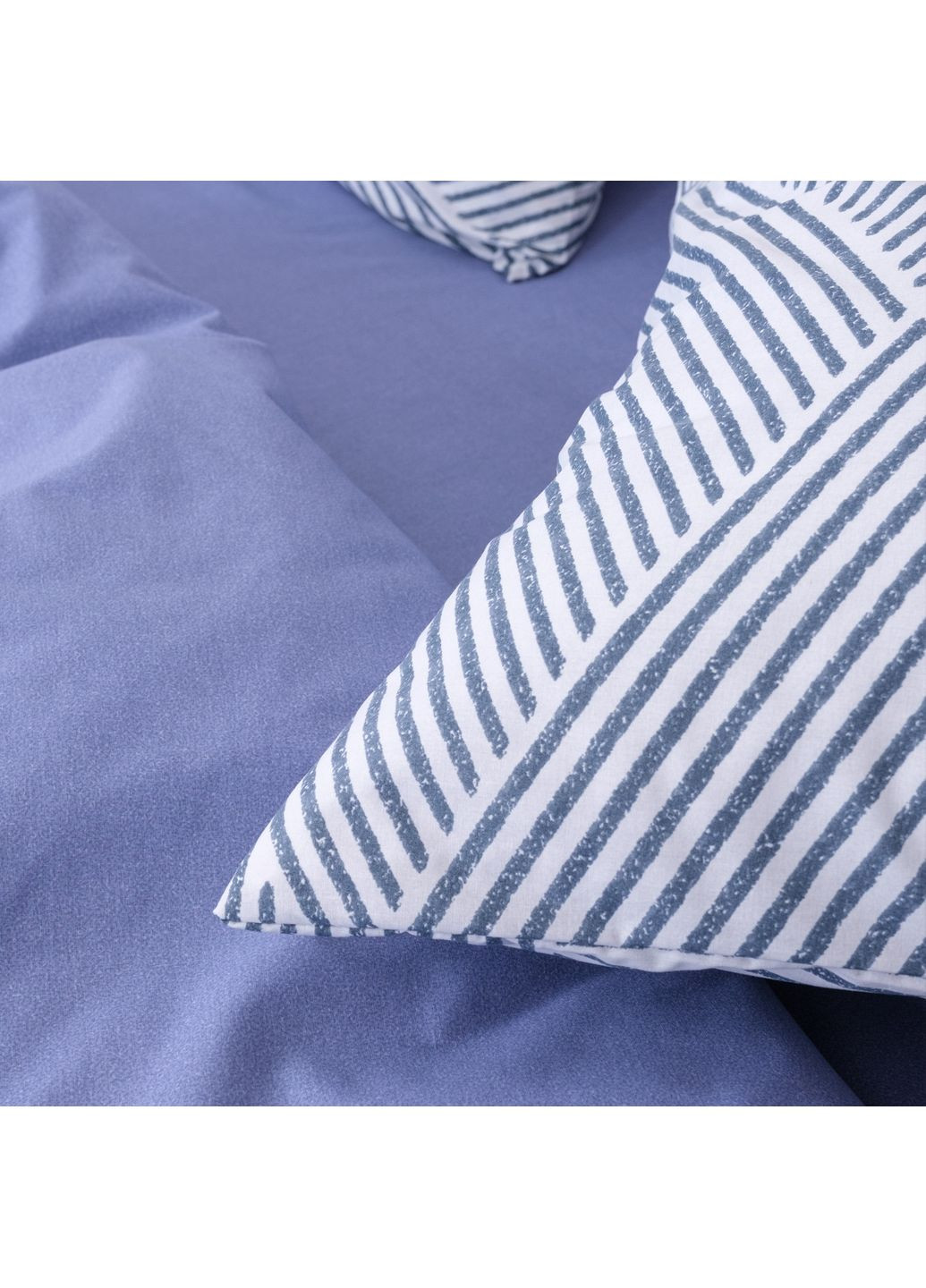 КПБ півтораспальний ранфорс Viluta (366561205)