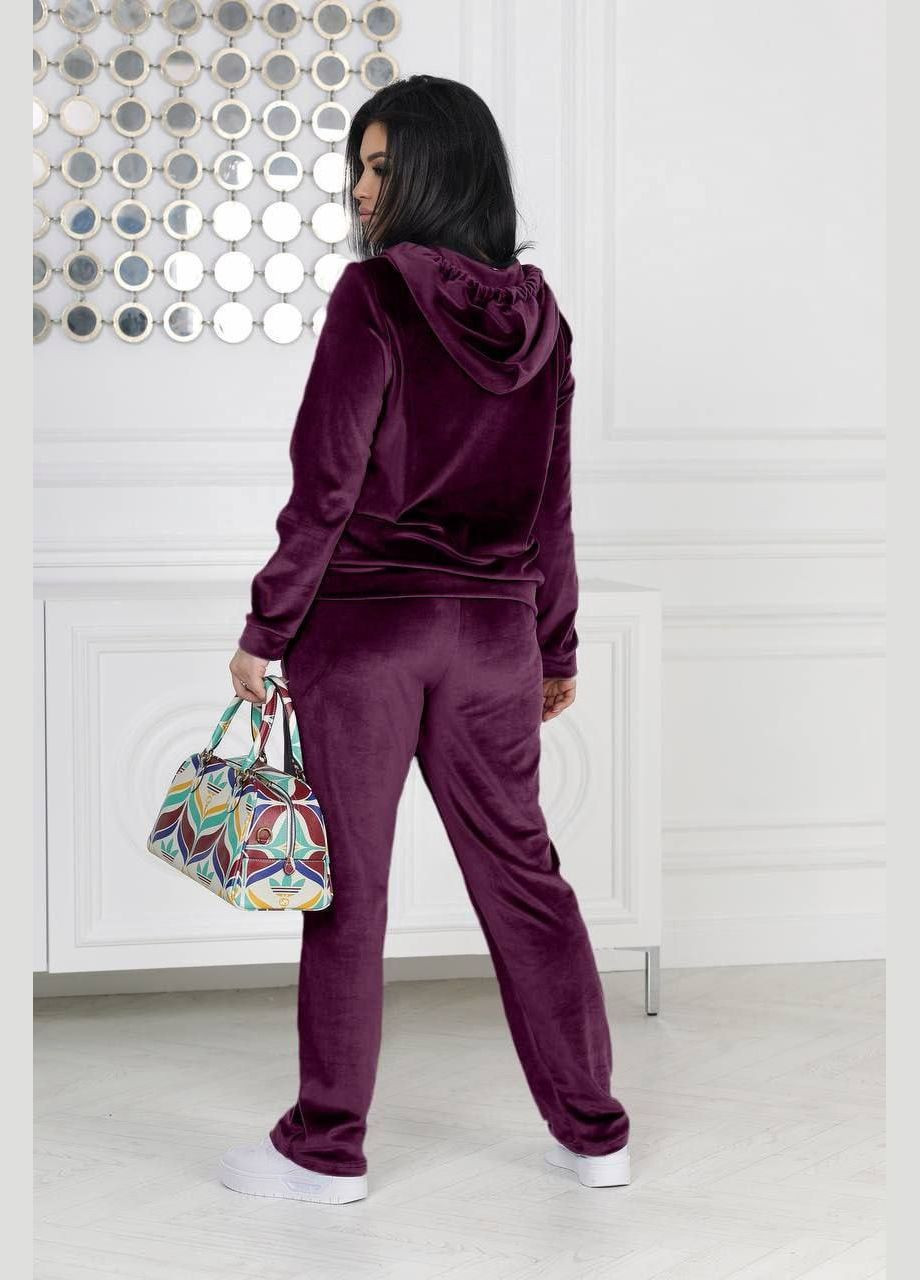 Велюровий спортивний костюм No Brand (317627513)