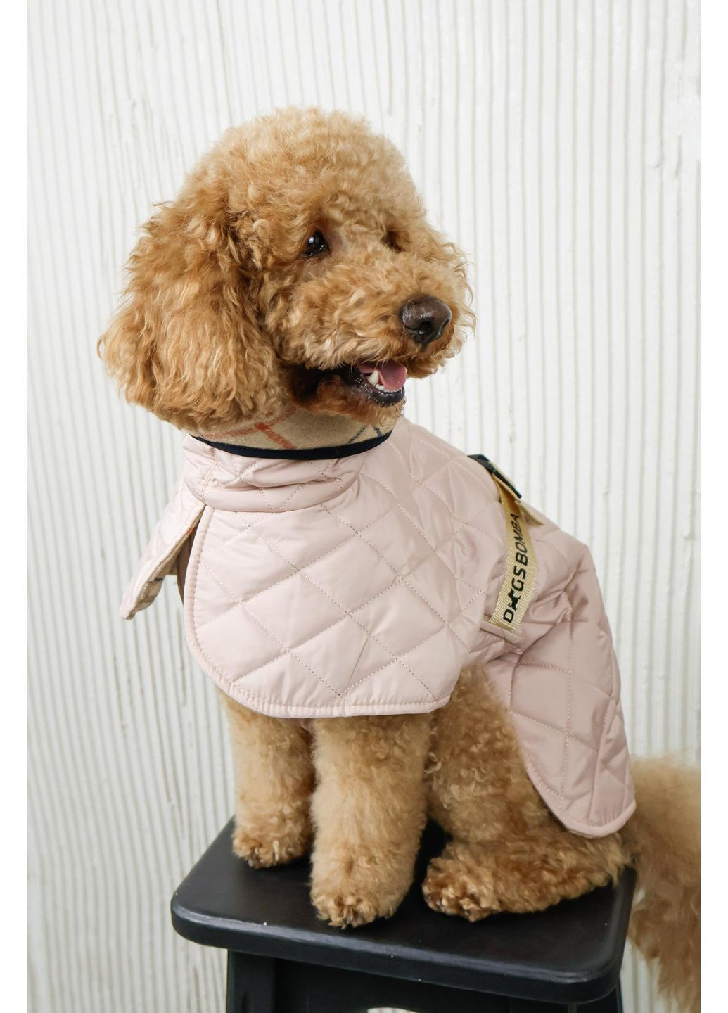 Жилет стежка двостороння пудра G-121 Розмір 6 Dogs Bomba (370275724)