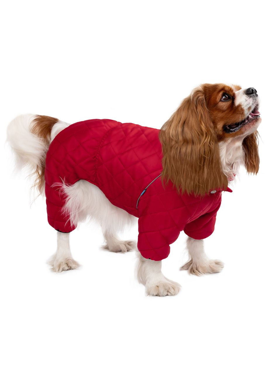 Комбинезон для собак Textile Barksi (370549572)