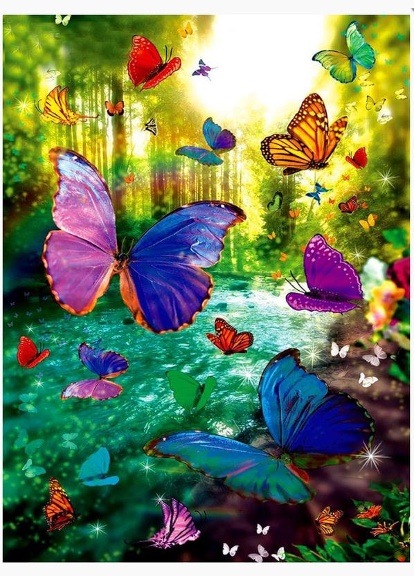Раскраска по номерам бабочки 40х50 Картины по цифрам на холсте Яркие бабочки Полотна по номерам GX34720 Rainbow Art (308987685)