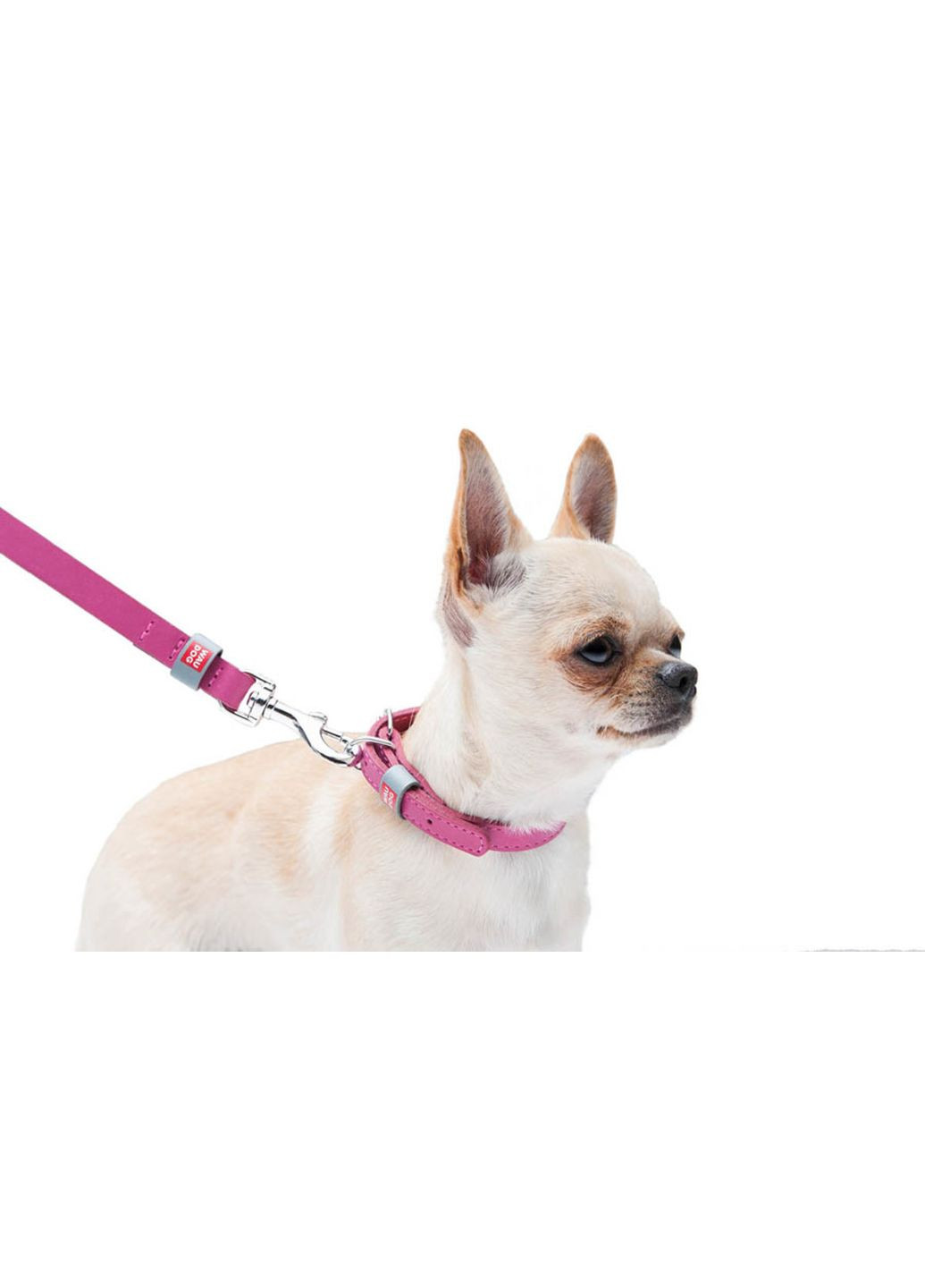 Нашийник для собак шкіряний Classic Ш 12 мм Дл 19-25 см Рожевий WAUDOG (322327997)