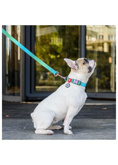 Повідок для собак (46604) WAUDOG Nylon Recycled L-XXL Ш 25 мм Д 122 cм помаранчевий (366703113)