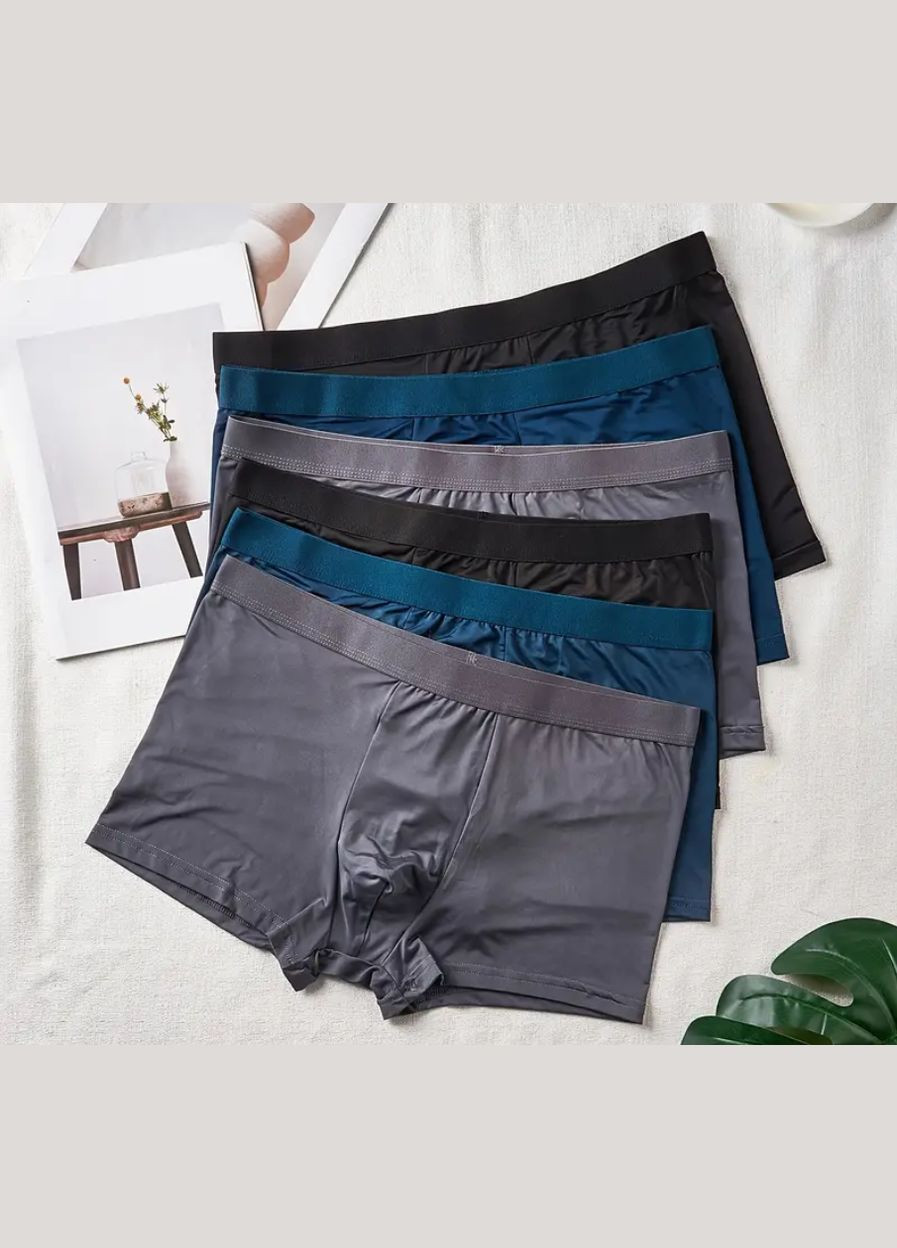 Труси чоловічі боксери з крижаного шовку 6 шт. XL No Brand (303427595)