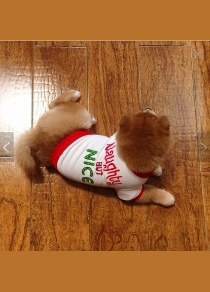 Свитшот для котов и кошек Pet Style "Принт" Белый L No Brand - (323234830)