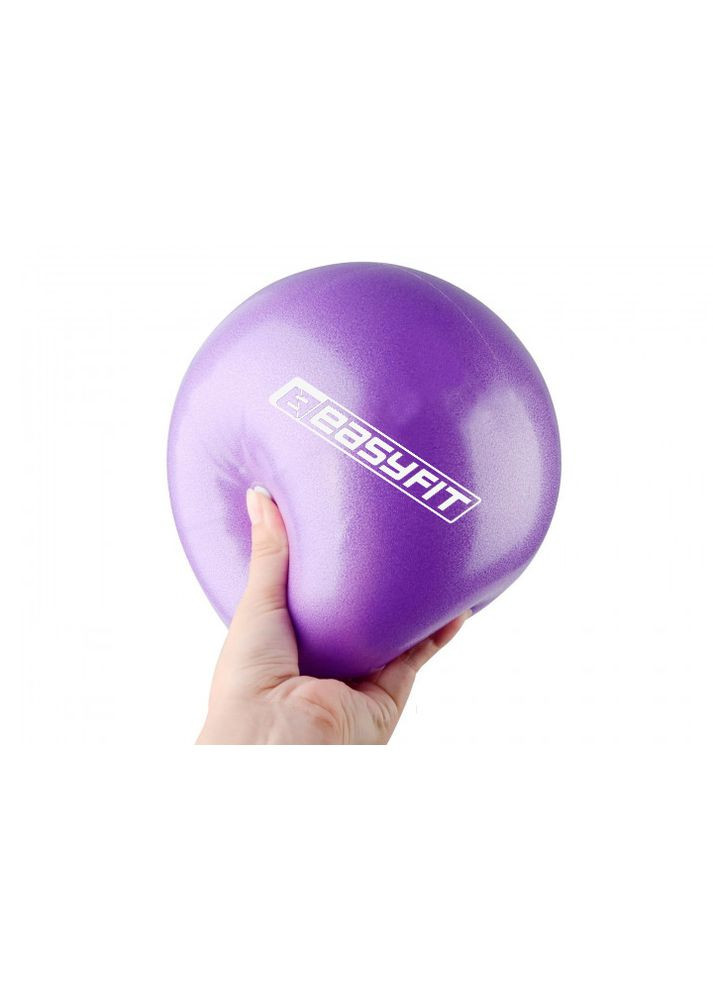 Мяч для пилатеса 25 см фиолетовый EasyFit (358887830)