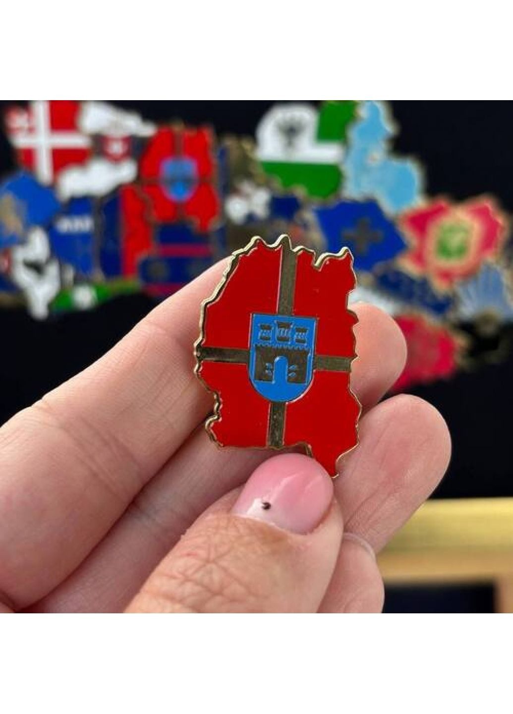 Значок Житомирщина (7831) Dobroznak (365246699)