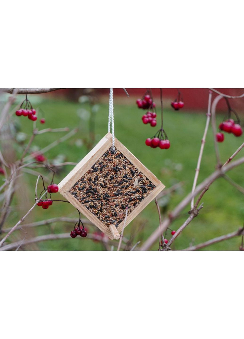 Подвесная кормушка с кормом "Птичье тирамису" No Brand (360655644)