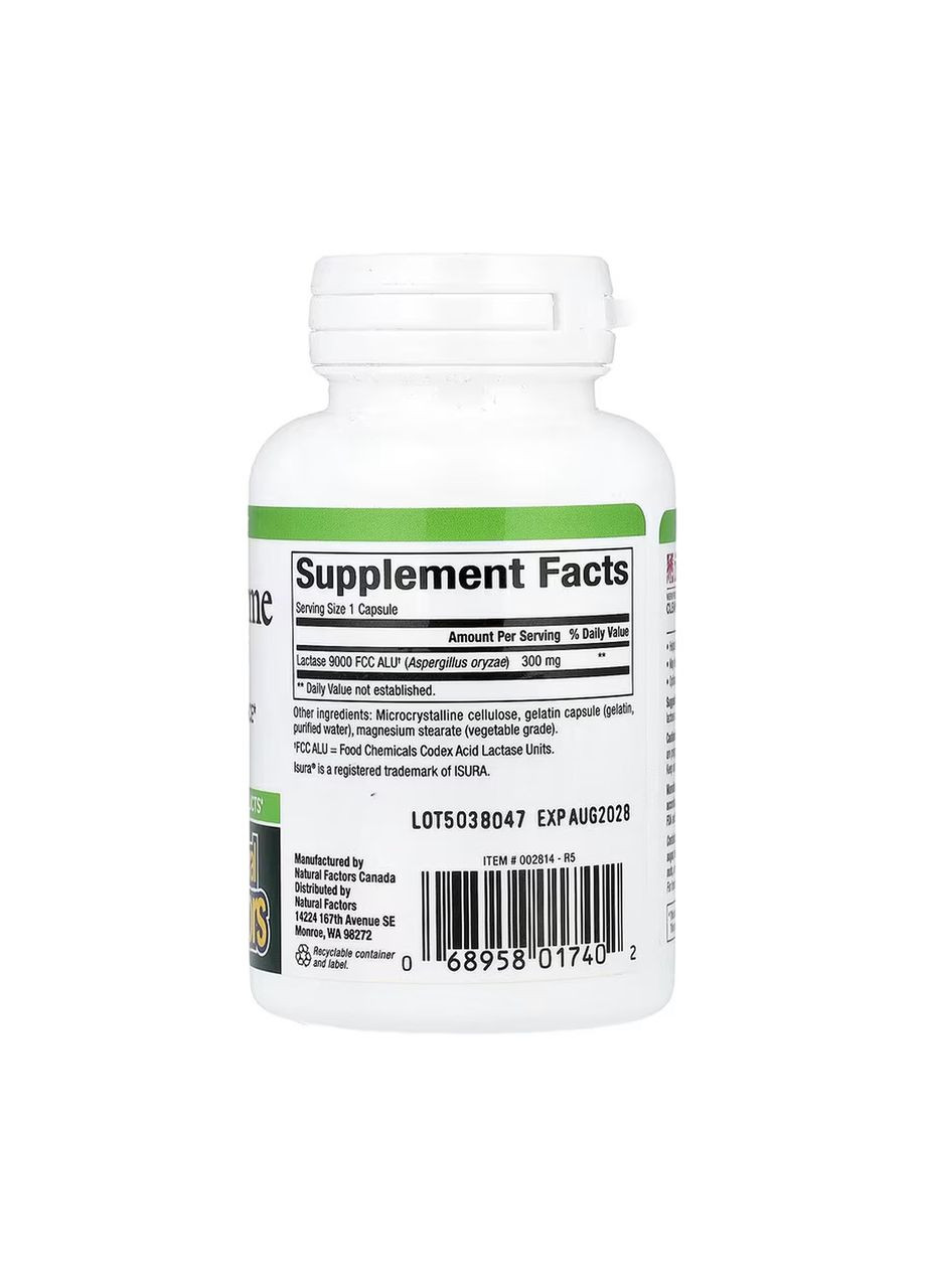 Lactase Enzyme - 60 caps Natural Factors (369399271)
