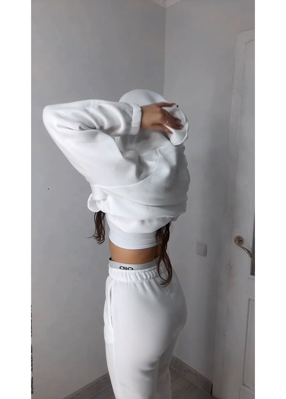 Жіночий спортивний костюм на флісі худі та джогери MonCher (366439857)