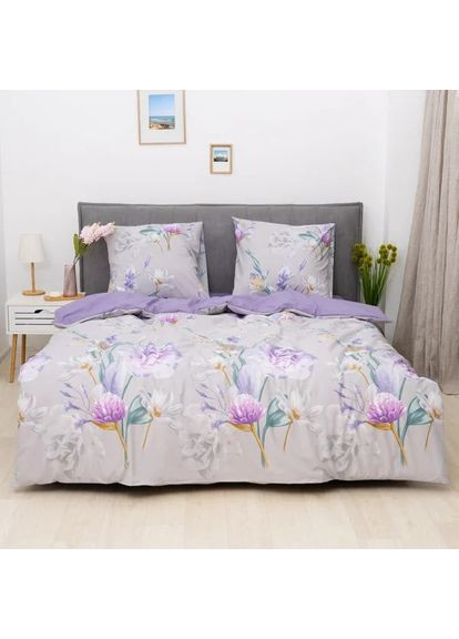 Комплект постільної білизни сімейний ранфорс 25362 100% бавовна Viluta (365301610)