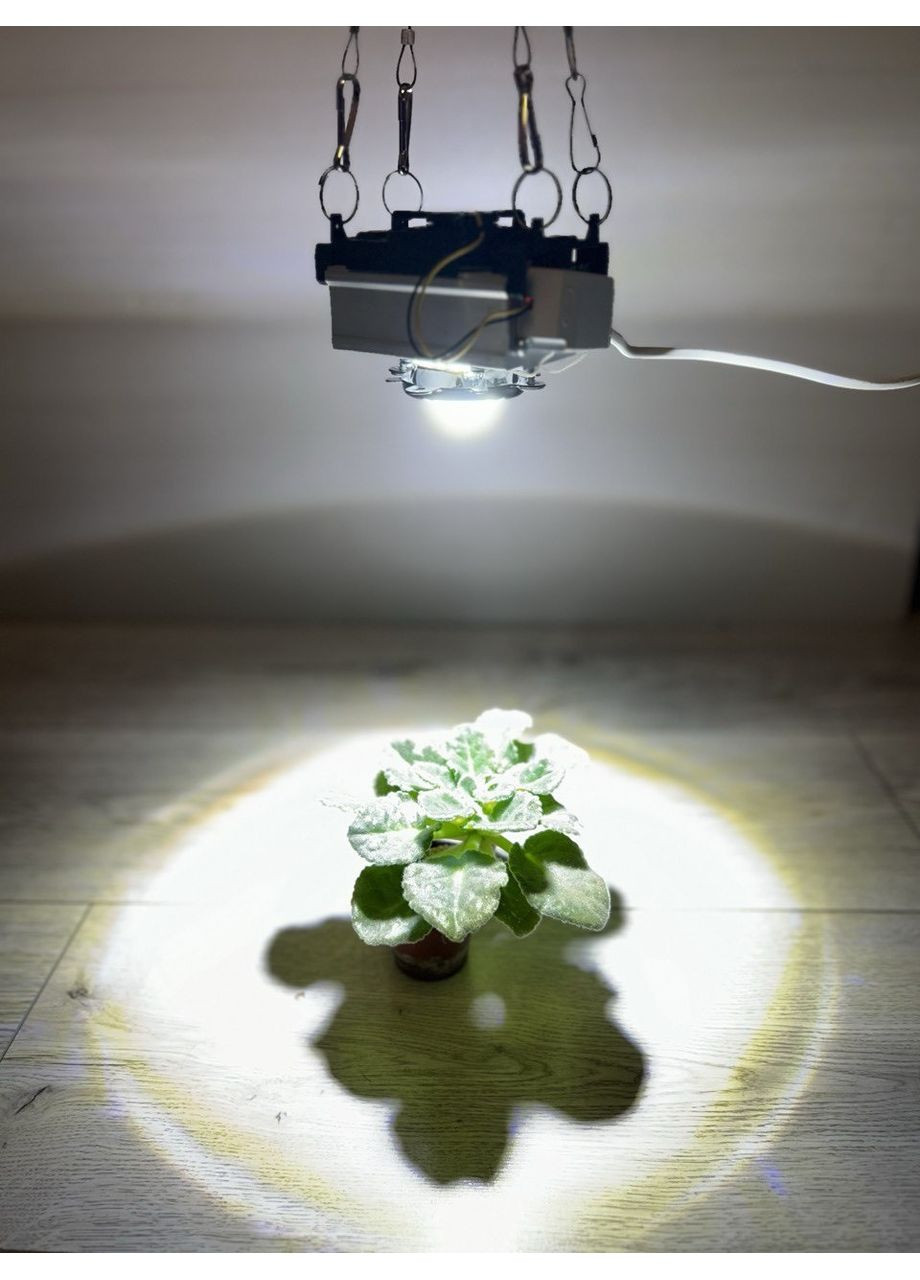 Фитолампа 50 Вт для роста растений с линзой 60 градусов, 40 000 К. Белый. No Brand (368704477)