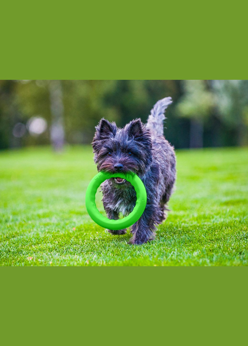 Кільце для апортування 20 д-20 см Салатове PitchDog (315598986)