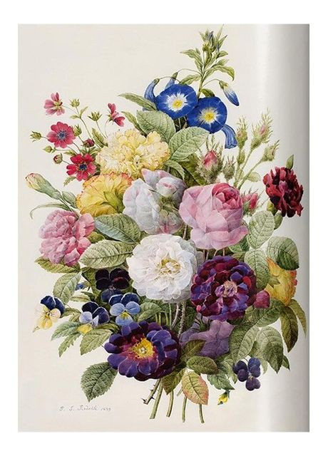 Книга Redout. Roses (9783836595711) Taschen (364654139)