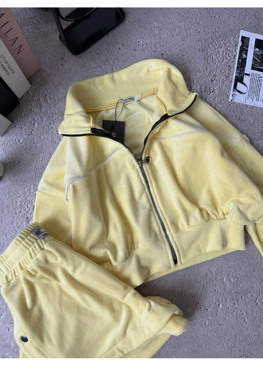 Жіночий велюровий спортивний комплект Україна (349817826)