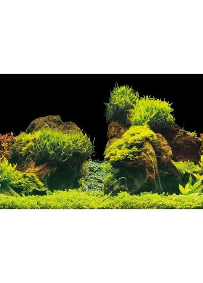 Фон для аквариума Скалы/Растения 100х50см Aqua Nova (321970214)