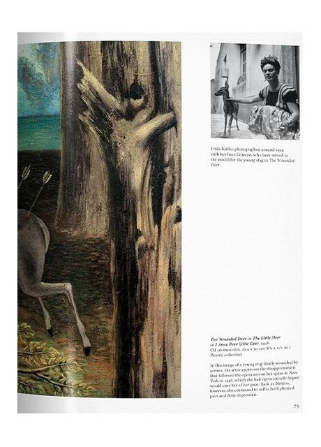 Книга Frida Kahlo (9783836500852) Taschen (364656270)