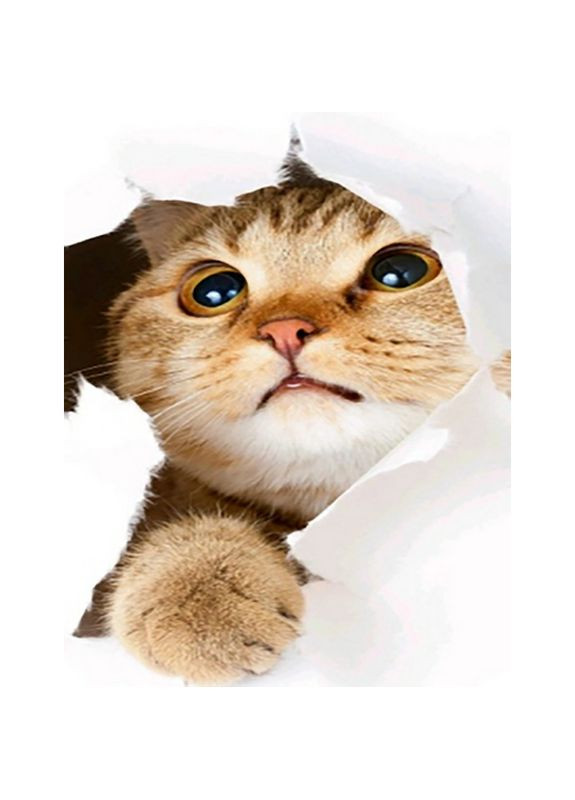 Алмазна мозаїка Допитливий котик см картина для творчості подарунок для дітей Strateg (369760167)