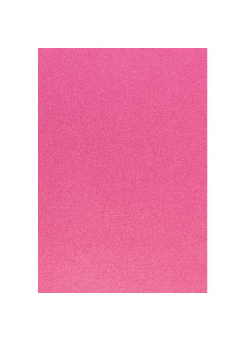 Набор фетра жесткого 741824 21х30 см 10 листов Santi (364764034)