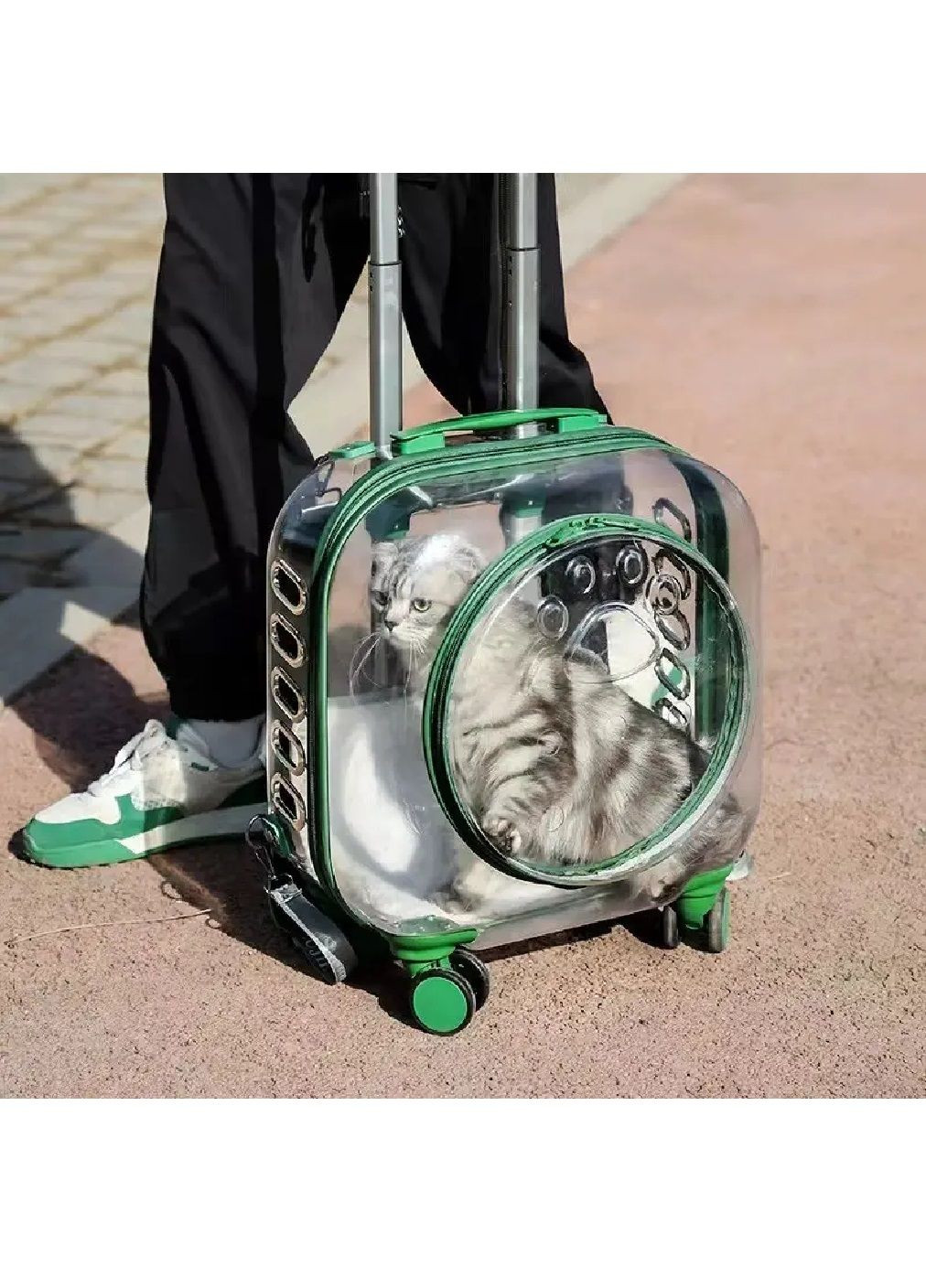 Візок з телескопічною ручкою на колесах 4 штуки для тварин котів собак вагою до 6 кг 40х40х22 см (481206-Prob) Зелениа Unbranded (356671728)