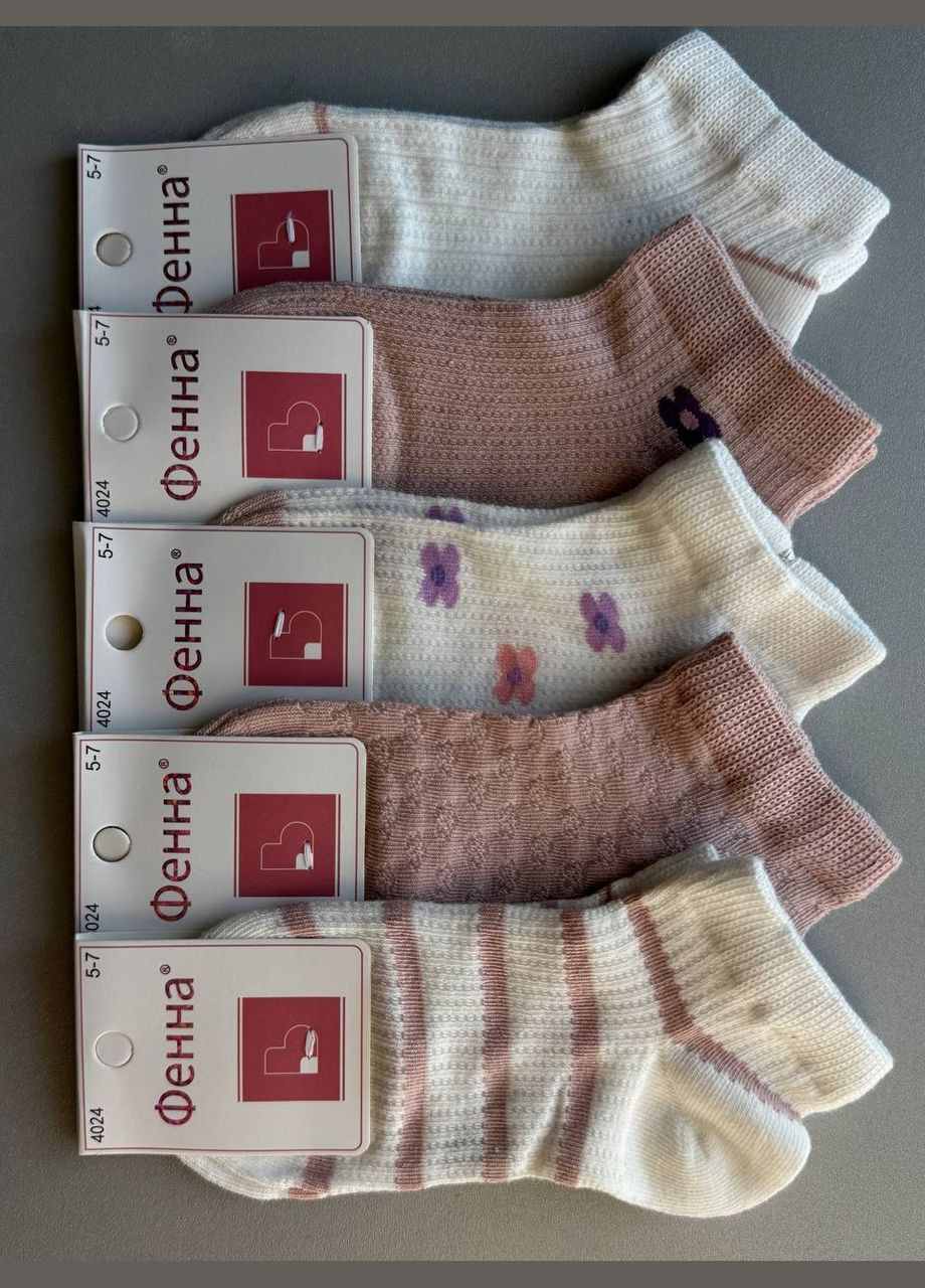 Комбіновані 5 пар літні котонові якісні короткі шкарпетки ФЕННА (329692573)