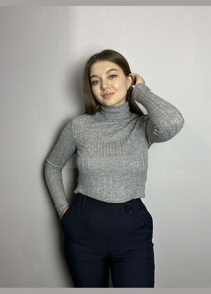 Кофта жіноча сіра трикотажна гольф базова MKJL3018011-1 Modna KAZKA (336933851)