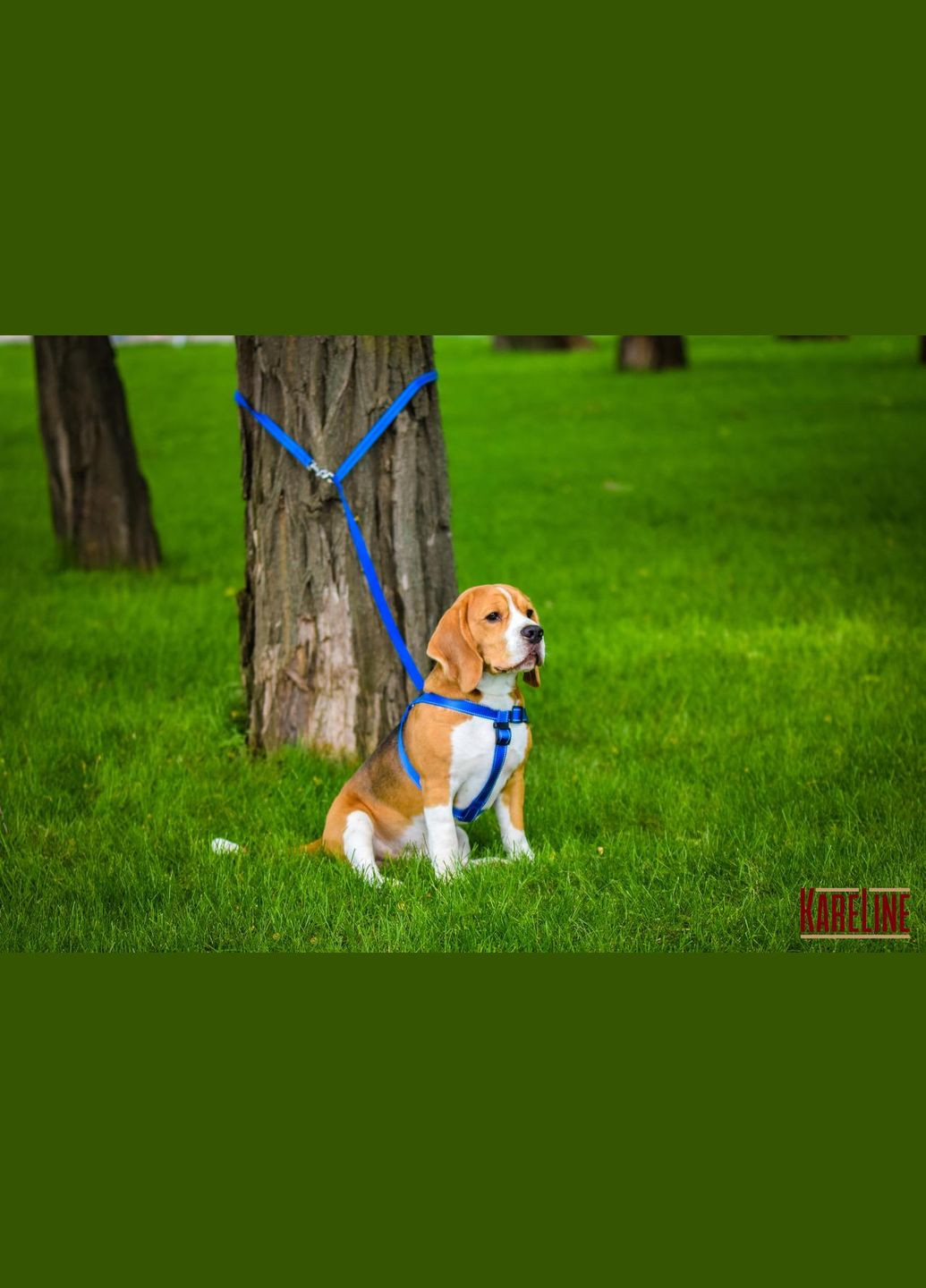 Поводок-перестежка из нейлона со светоотражающей нитью 25 мм 1400/2400 мм Kareline (339075616)