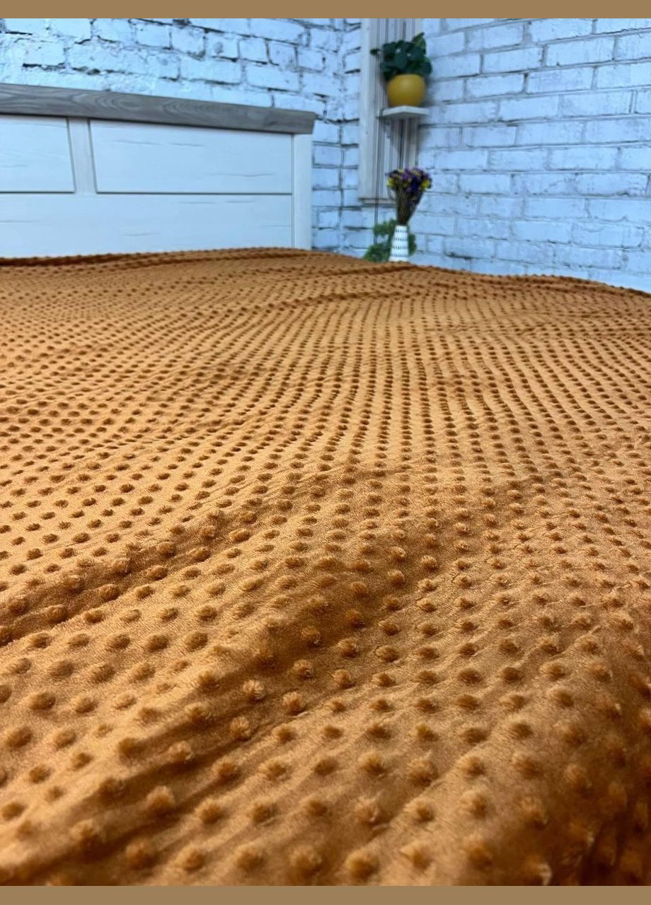 Плед с ворсом гипоаллергенный плюшевый 180х215 см (П4Кmur-flis-pled-001-02) No Brand (308754793)